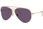 Sončna očala Ray-Ban Aviator Reverse RBR0101S 001/1A Pilotska Zlata