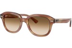 Ray-Ban Erik RB4398 140351