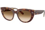 Sončna očala Ray-Ban RB2286 141451 Kvadratna Havana