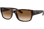 Sončna očala Ray-Ban RB4388 710/51 Pravokotna Havana