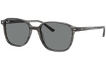 Sončna očala Ray-Ban Leonard RB2193 1314B1 Kvadratna Siva