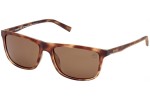 Sončna očala Timberland TB9266 52H Polarized Pravokotna Havana